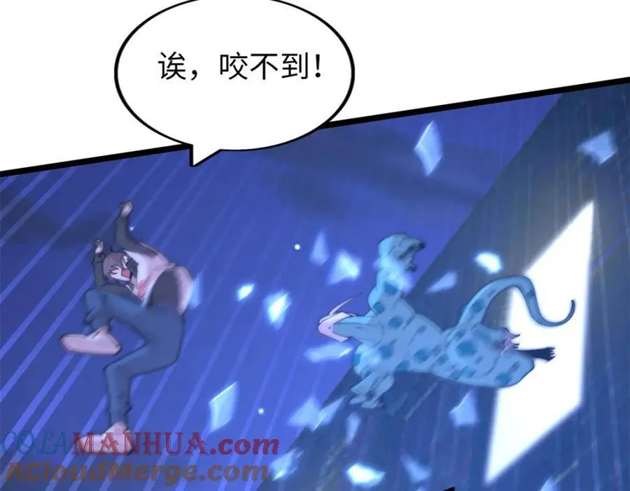 51 第33页