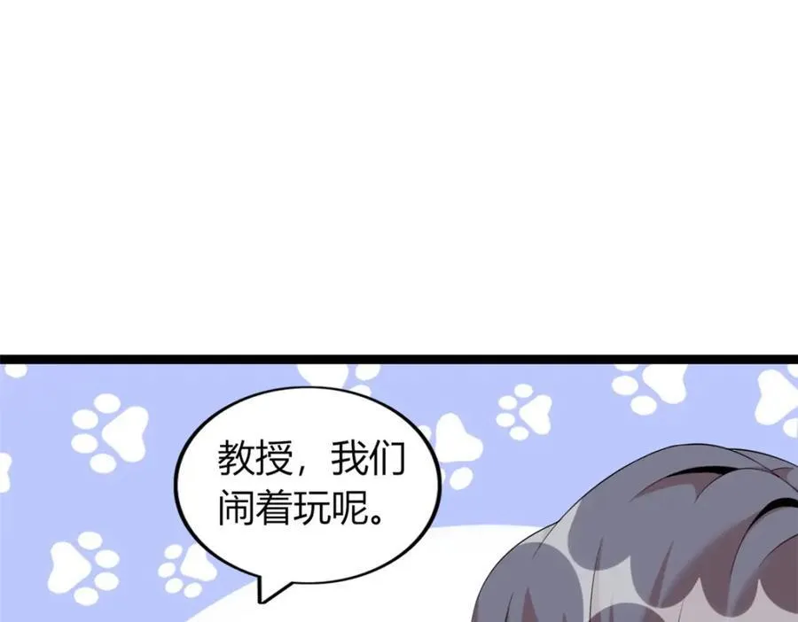 53 第42页