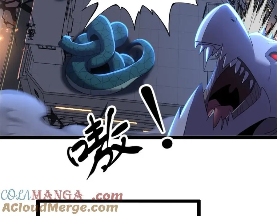 54 第117页