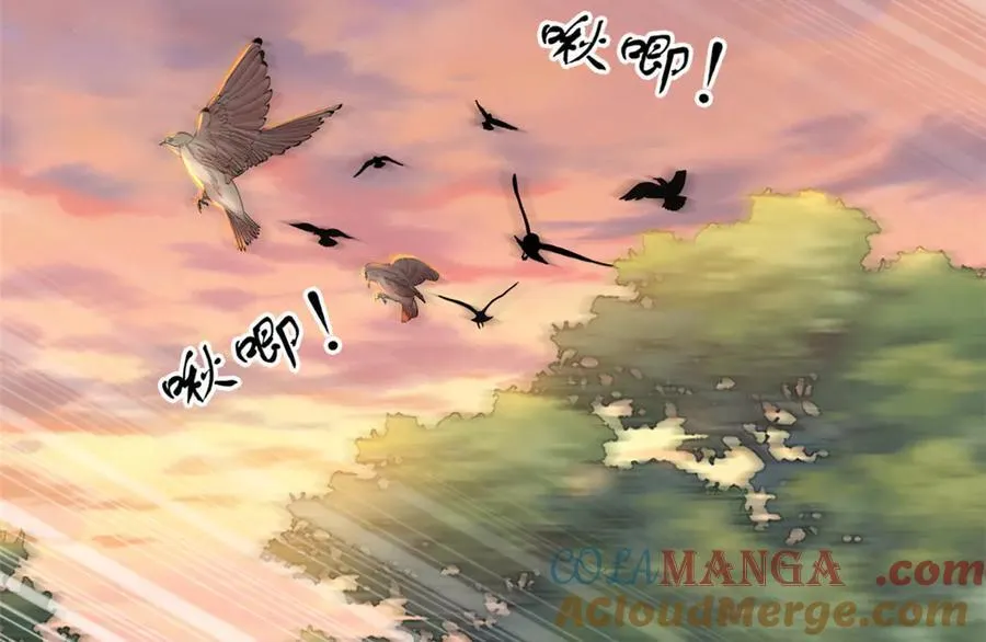 65 第173页