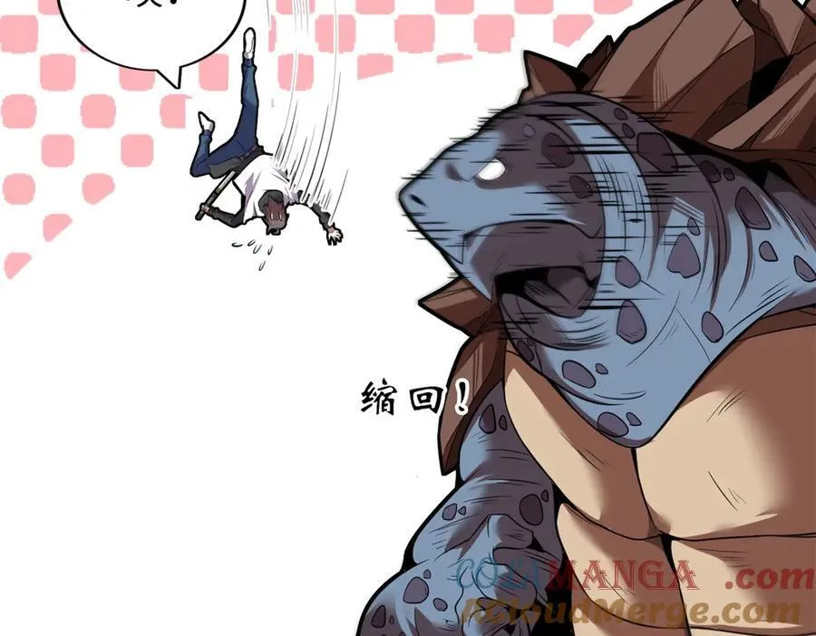 66 第41页