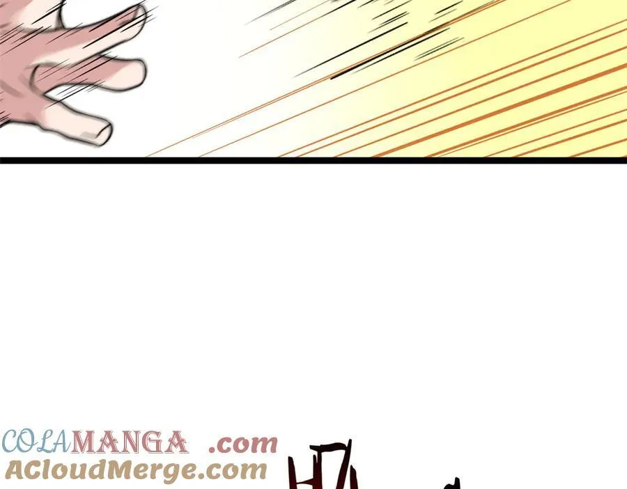 66 第113页