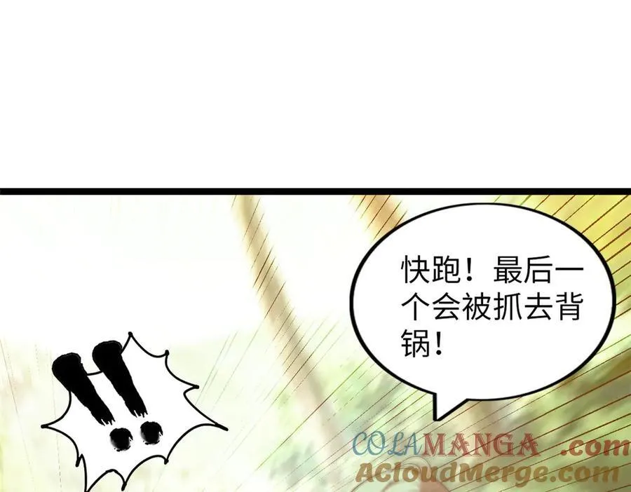 66 第173页