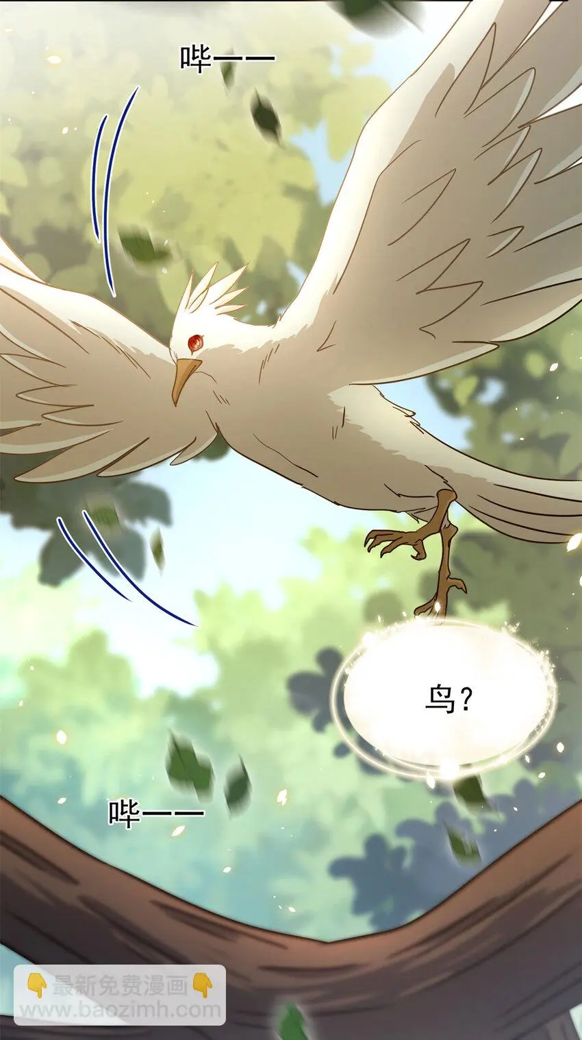 第34话 新的“梦境” 第5页