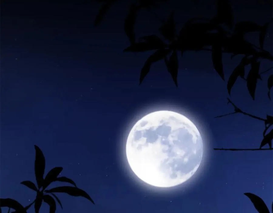 第131话 理查德的计划（上） 第51页