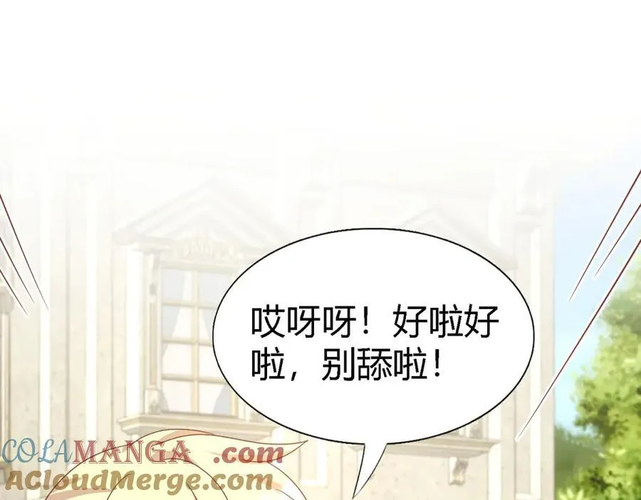 第184话 茶会开始了（下） 第40页