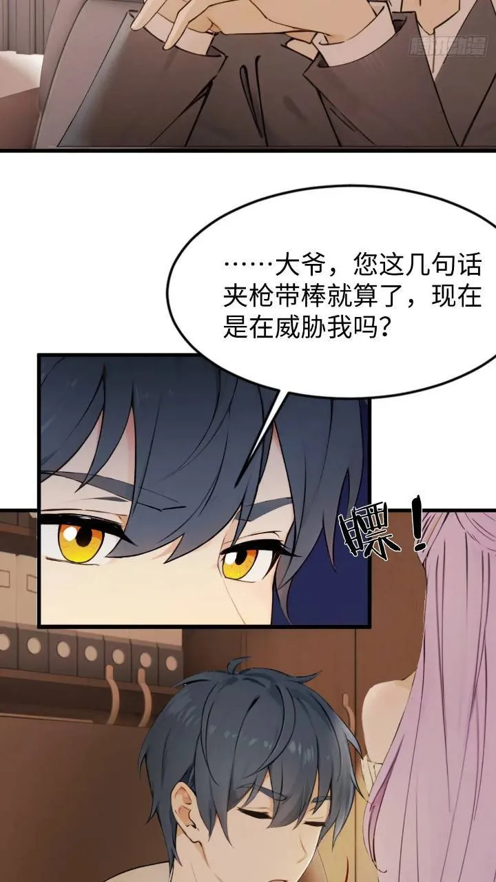 27 第13页