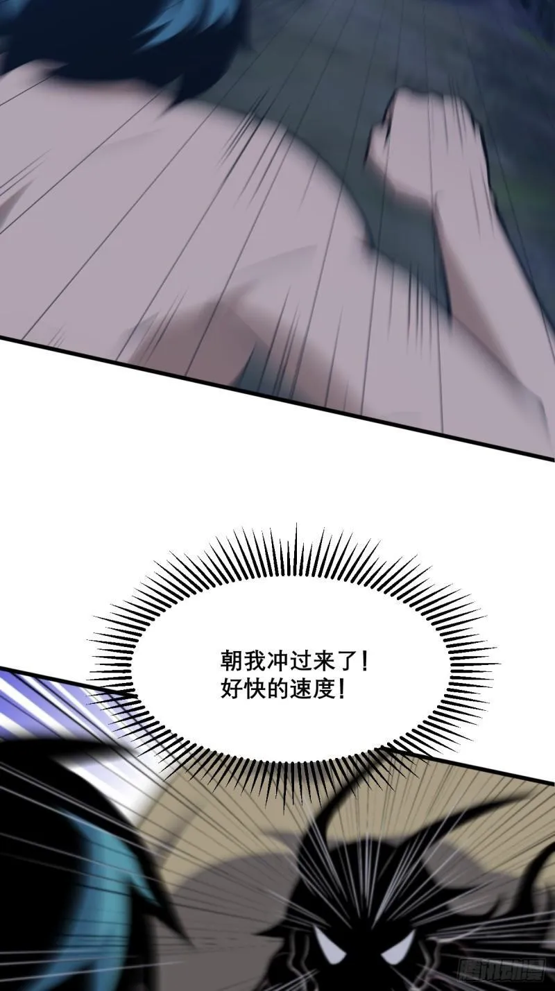 31 第5页