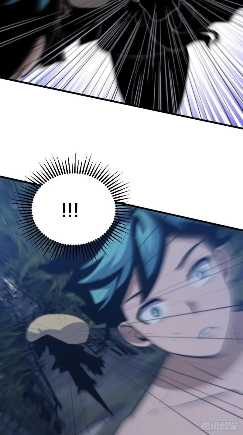 31 第6页