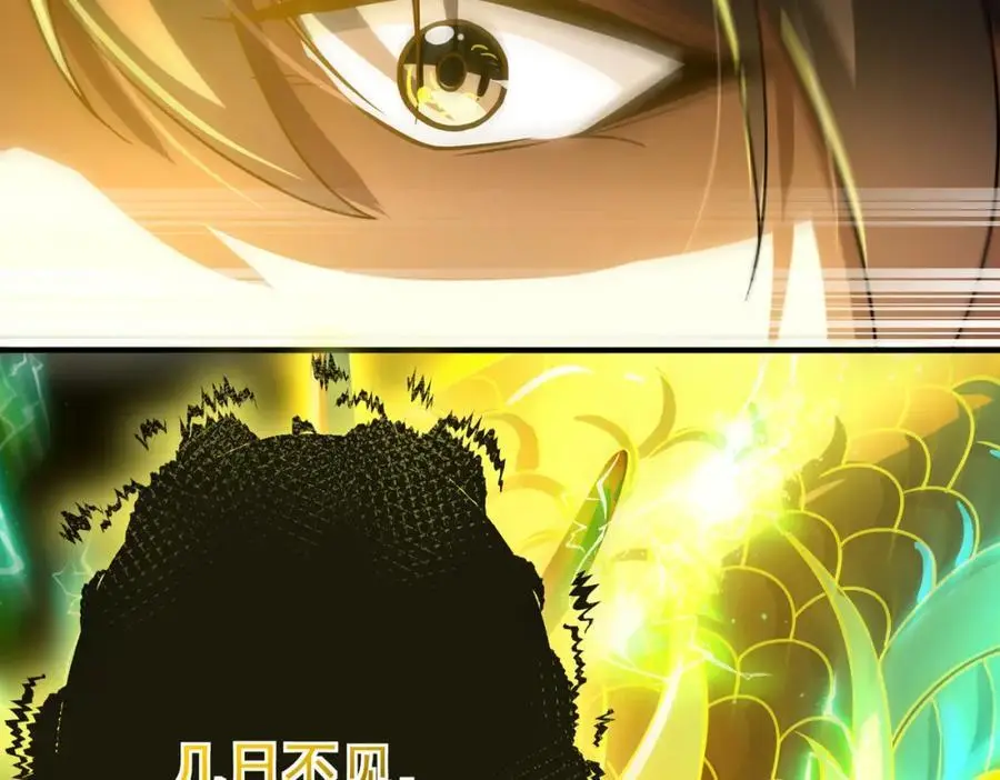 28 无名拳 第114页