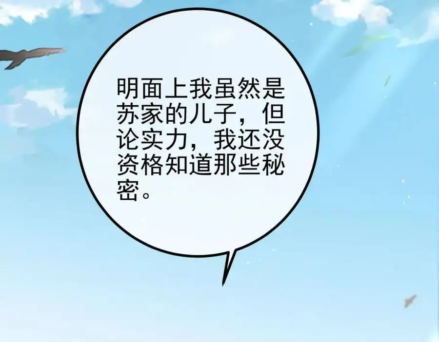 47 苏家的秘密 第35页
