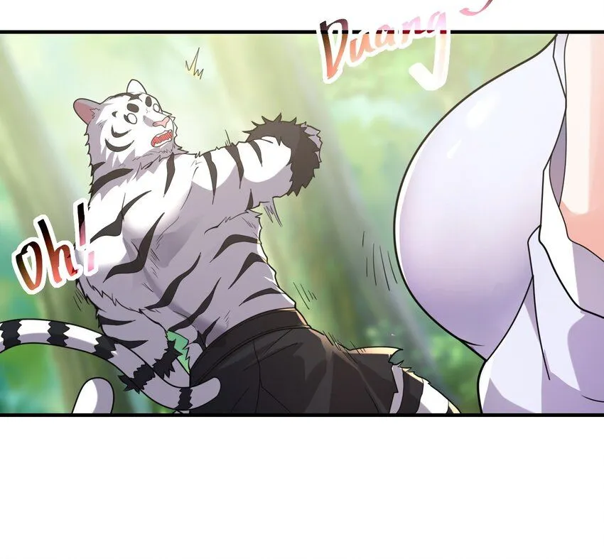 002-捕获野生法师！ 第1页