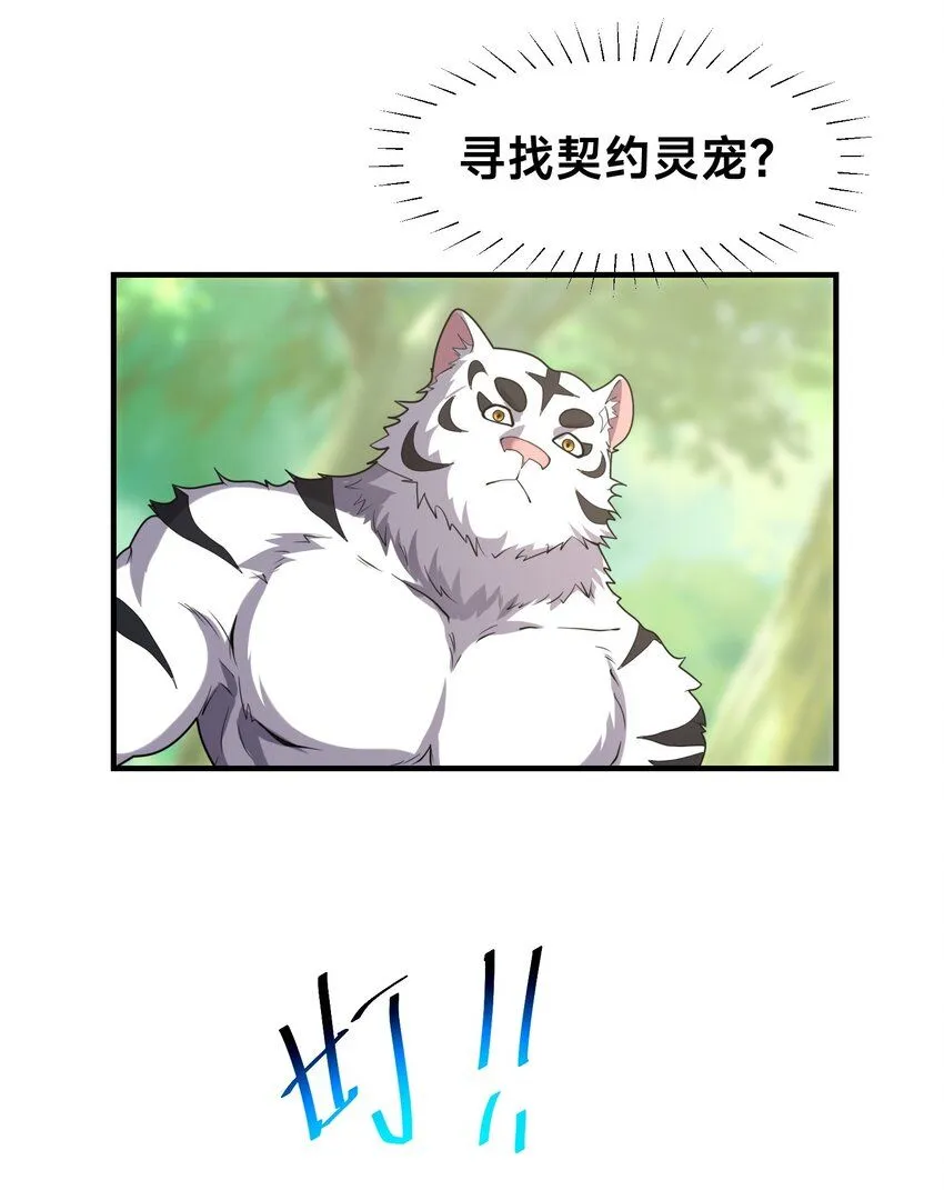 002-捕获野生法师！ 第5页
