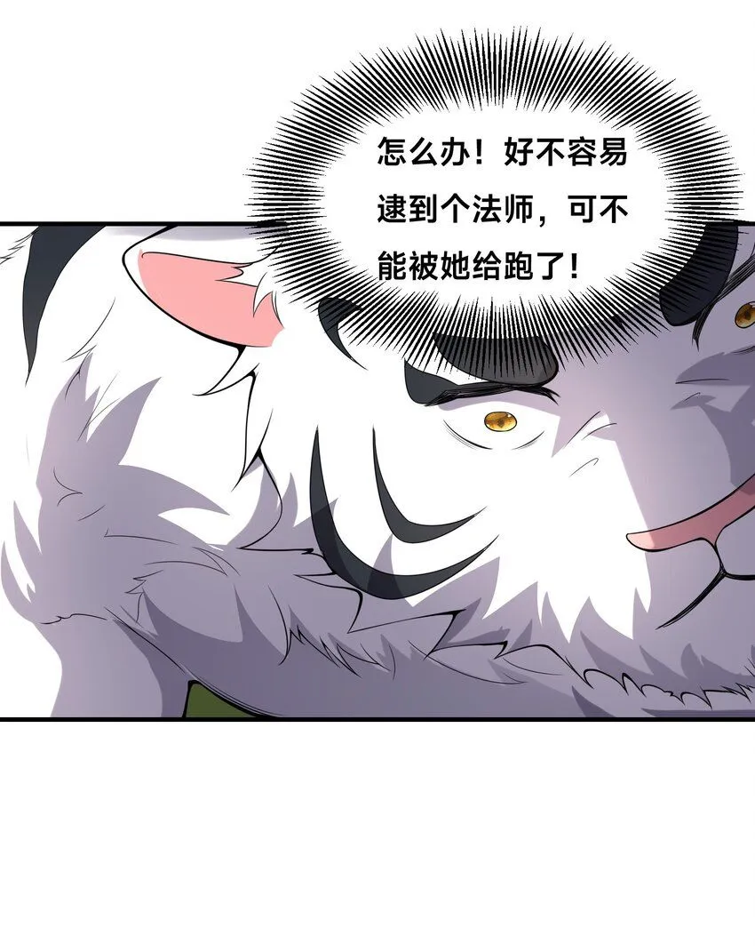 002-捕获野生法师！ 第20页