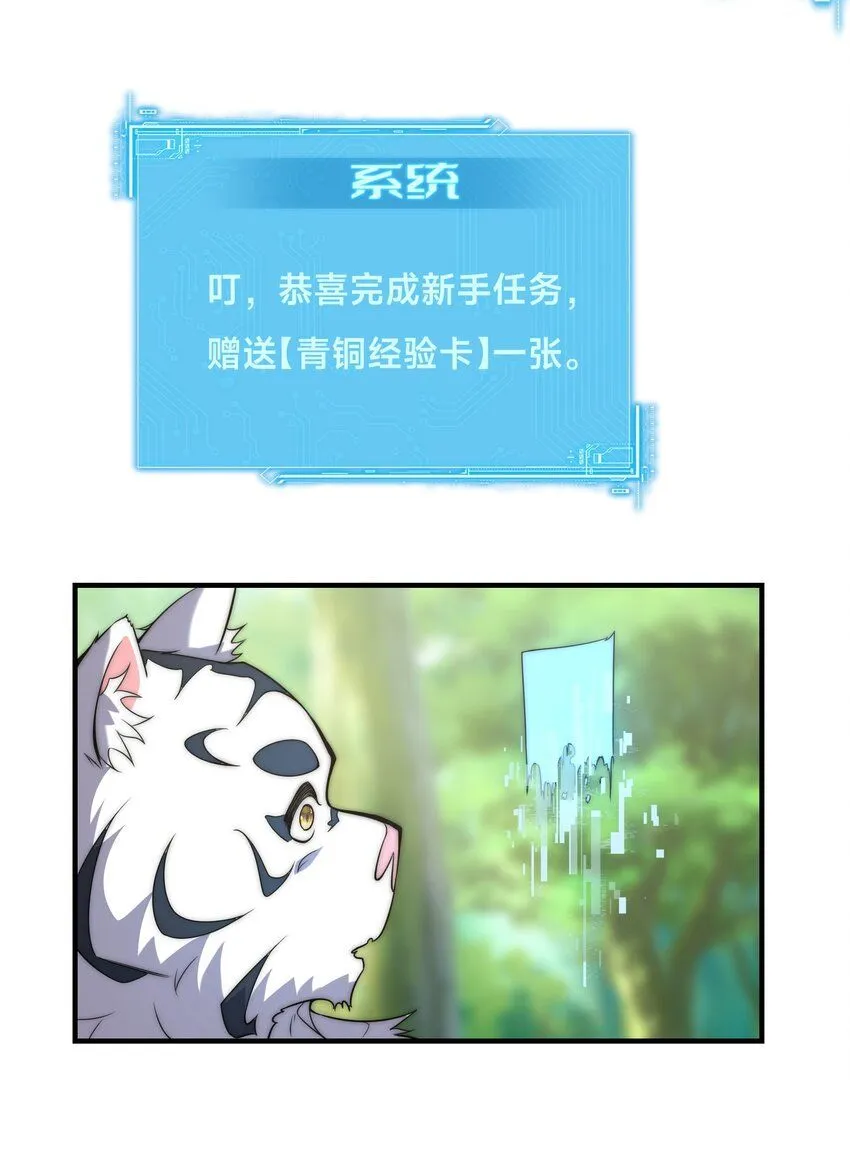 002-捕获野生法师！ 第29页