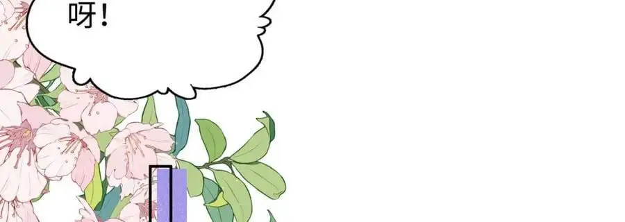 026 时旎蝶VS霍轻羽 第31页