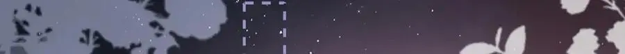030 你选谁 第9页