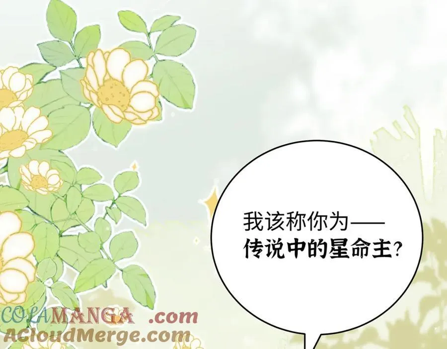 046 我赌你会爱上我 第65页