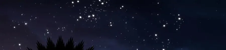 050 成为师傅的男人 第15页