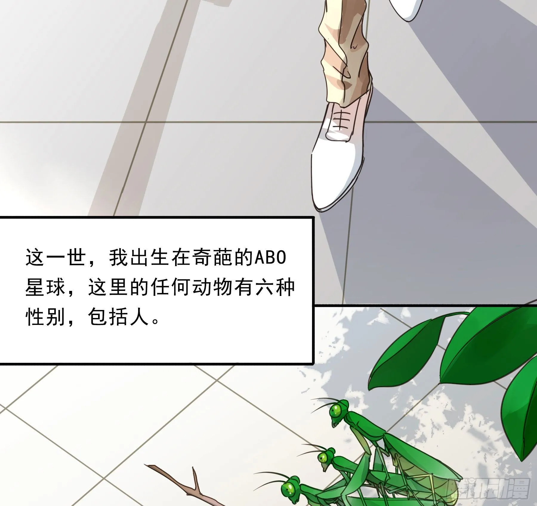预告 第18页
