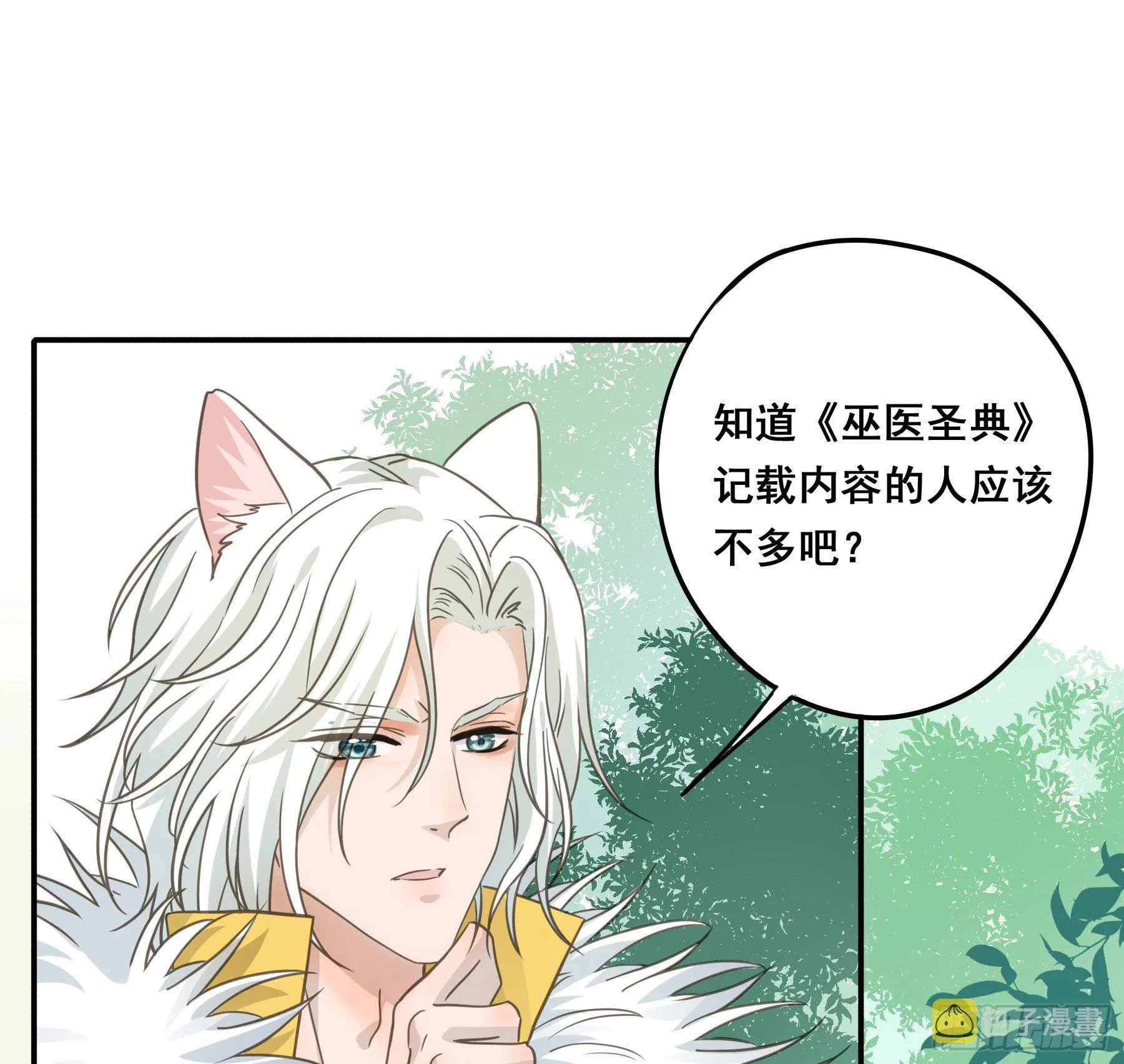 神纹荒狼 第3页