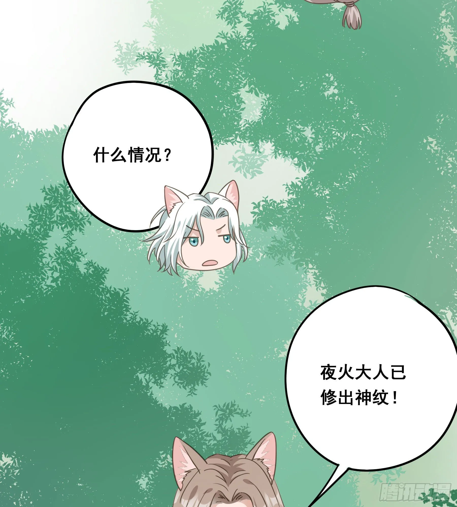 神纹荒狼 第11页