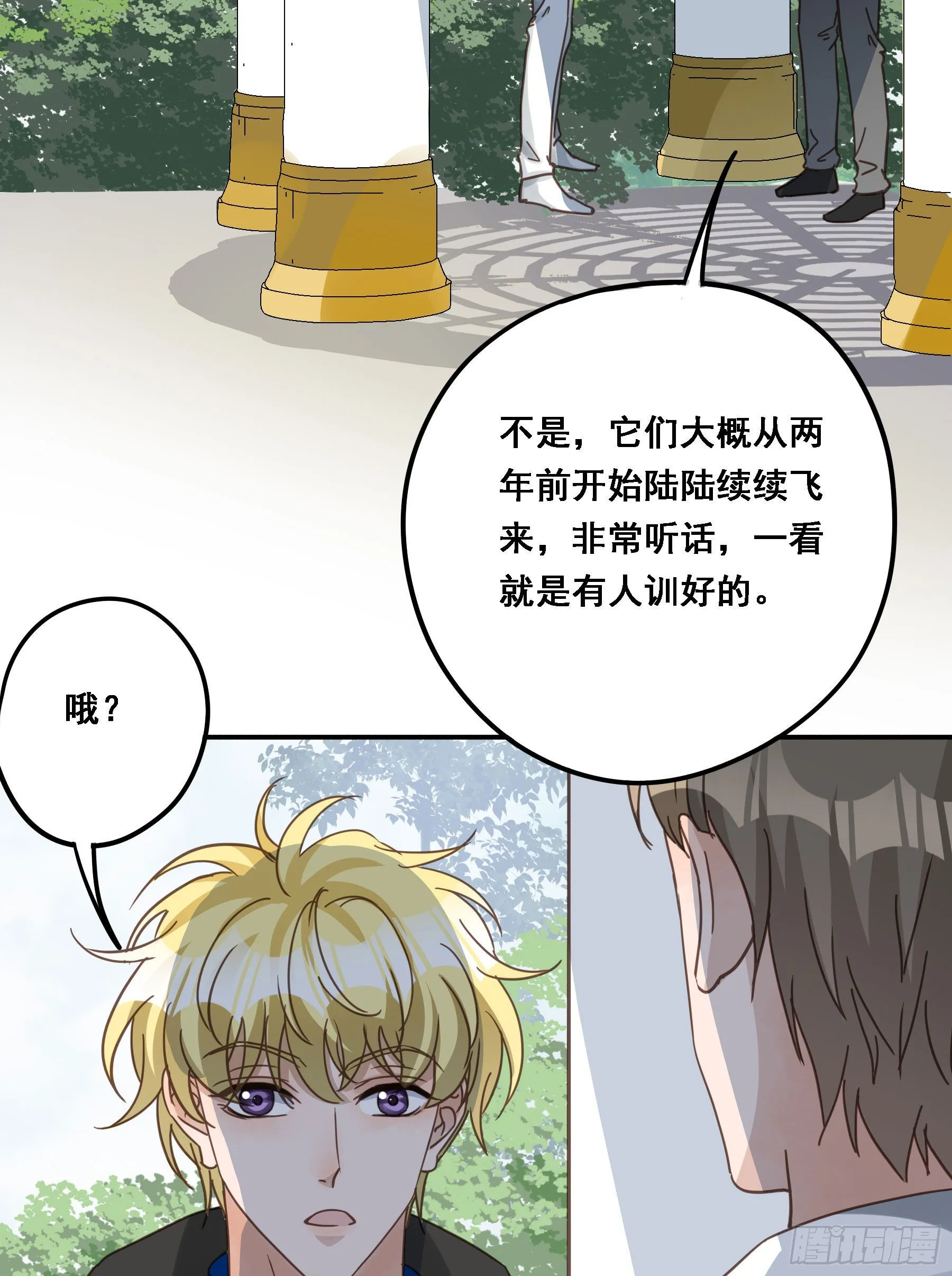 预谋 第51页