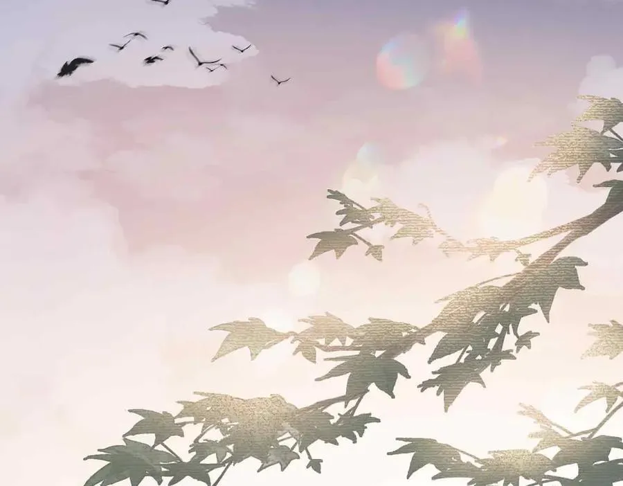 番外 飞天猫（3） 第2页