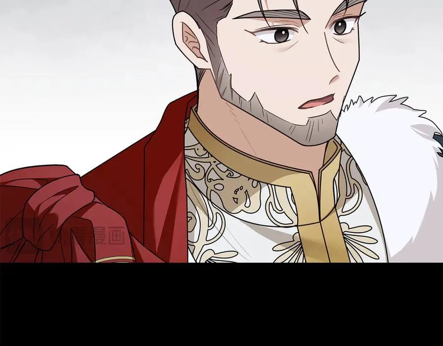 第115话 陛下的认可 第106页