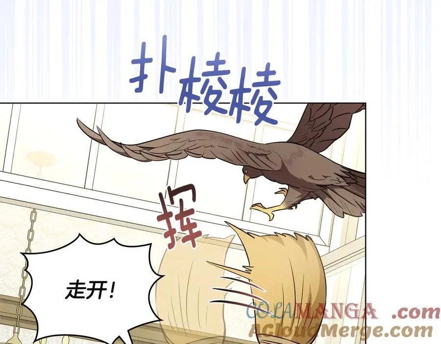 特别外传 第1话 鹰的主人 第5页