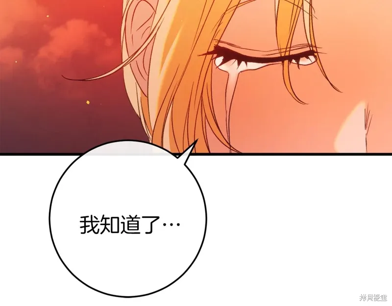 第39话 第192页