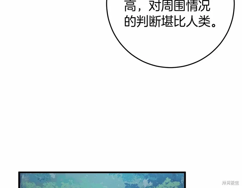 第54话 第67页