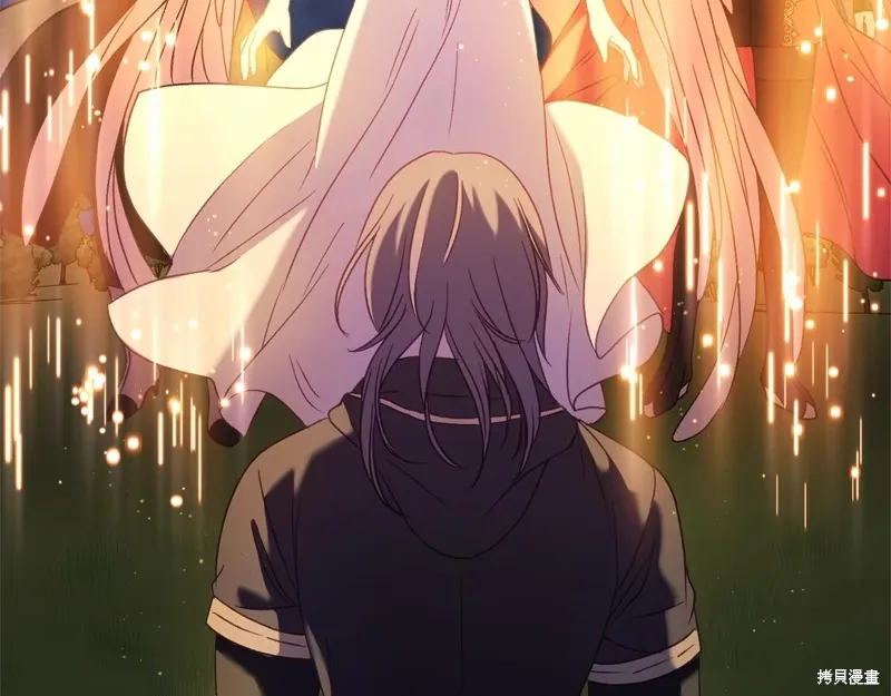 完结话 第219页