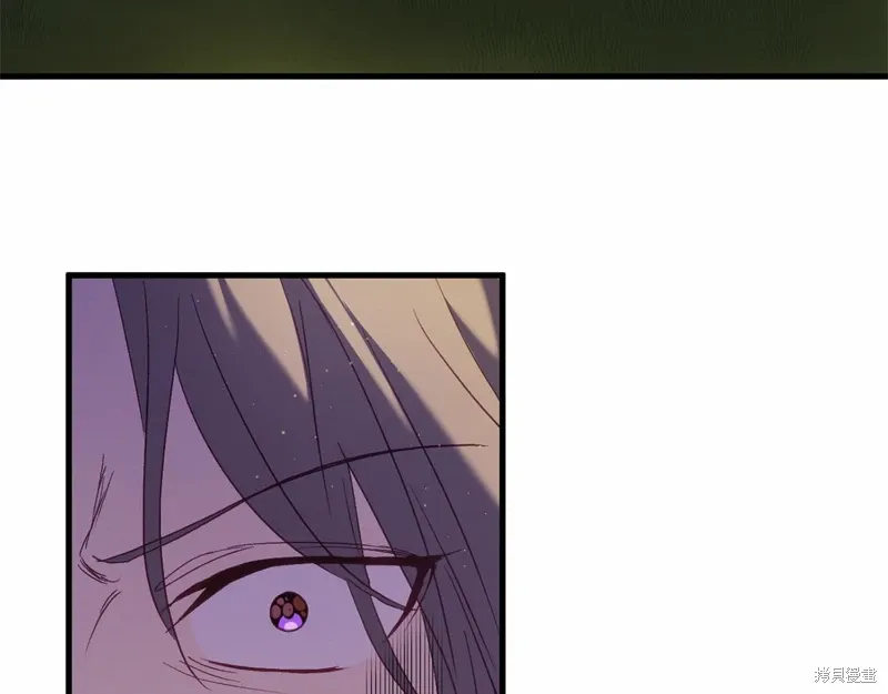 完结话 第221页