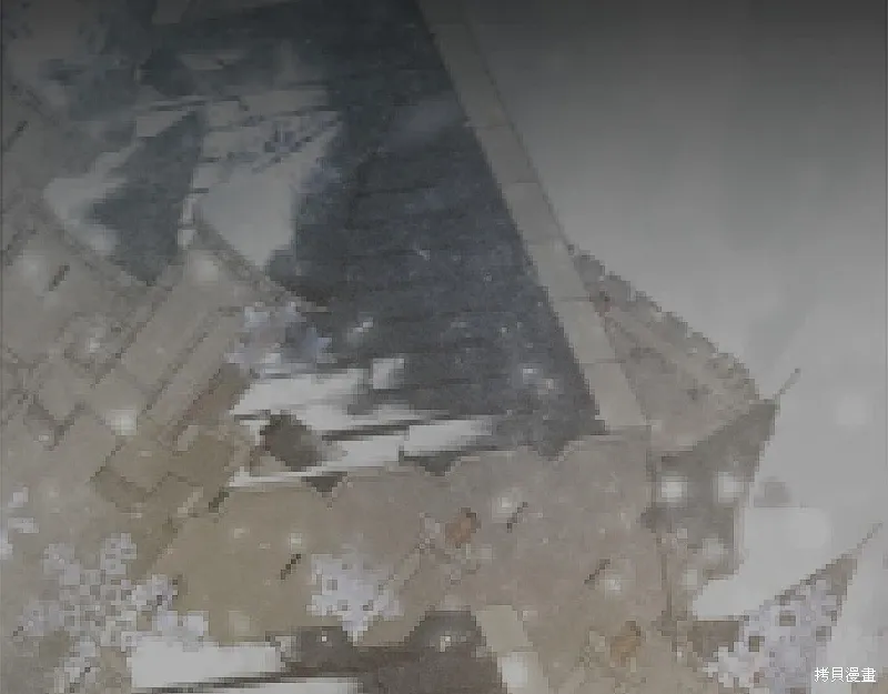 完结话 第306页