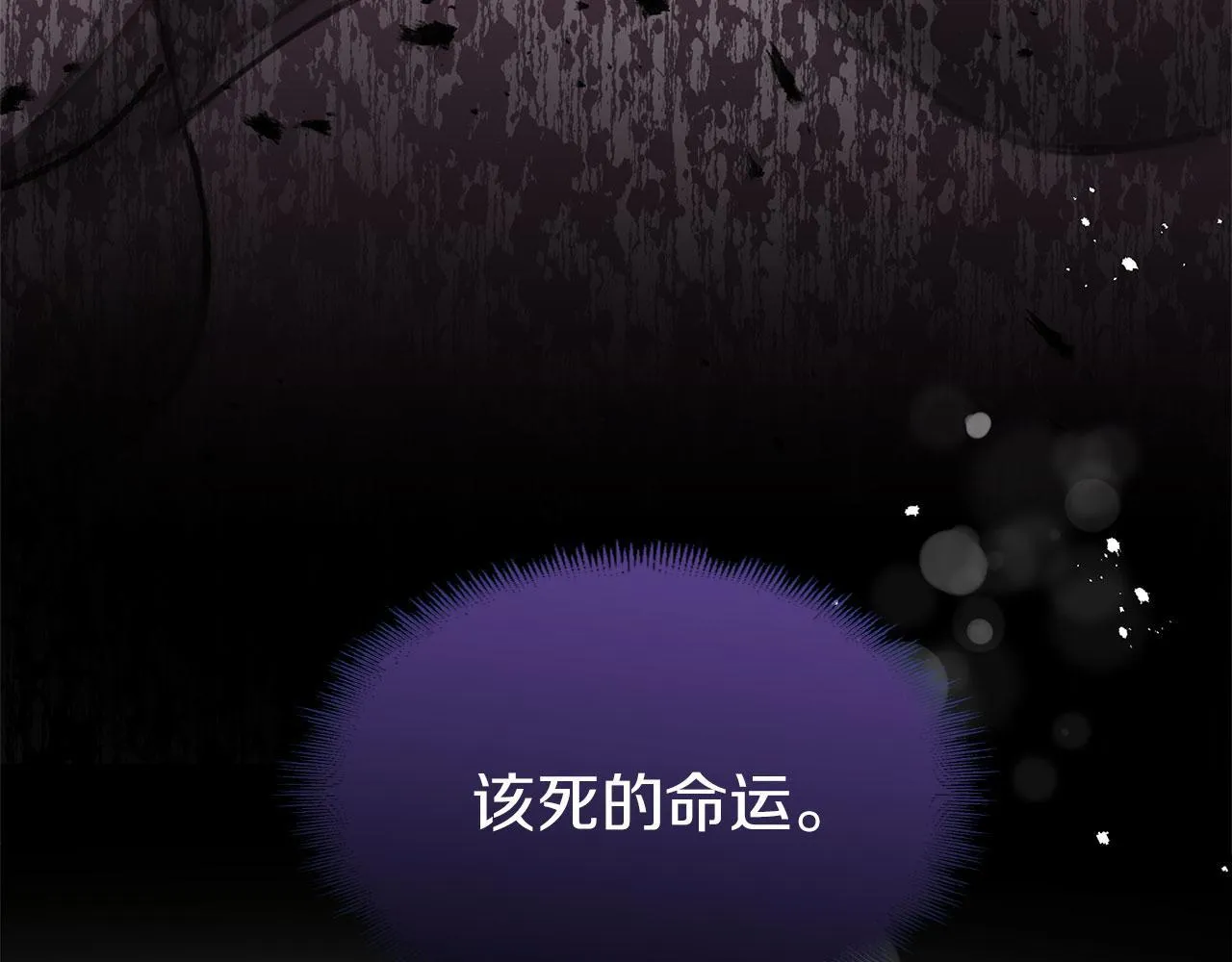 第31话 再见，劳尔殿下 第206页