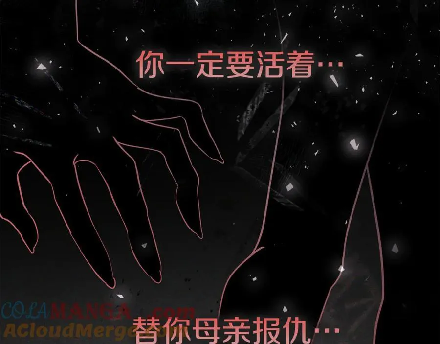 第62话 帝国最高的位置 第205页