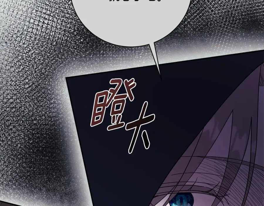 第62话 帝国最高的位置 第238页