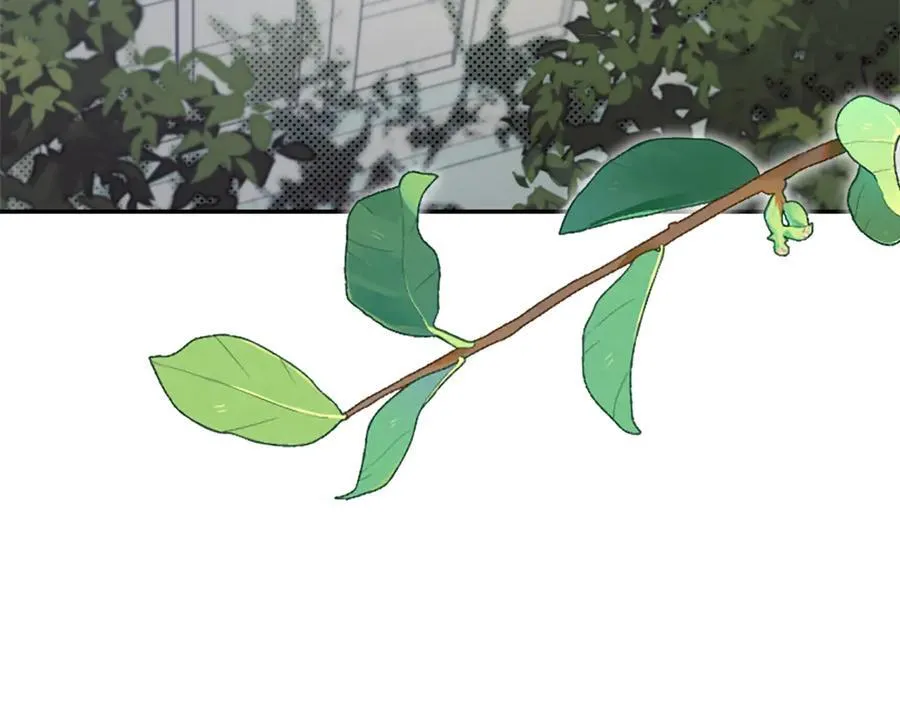 第64话 至少还有我 第12页