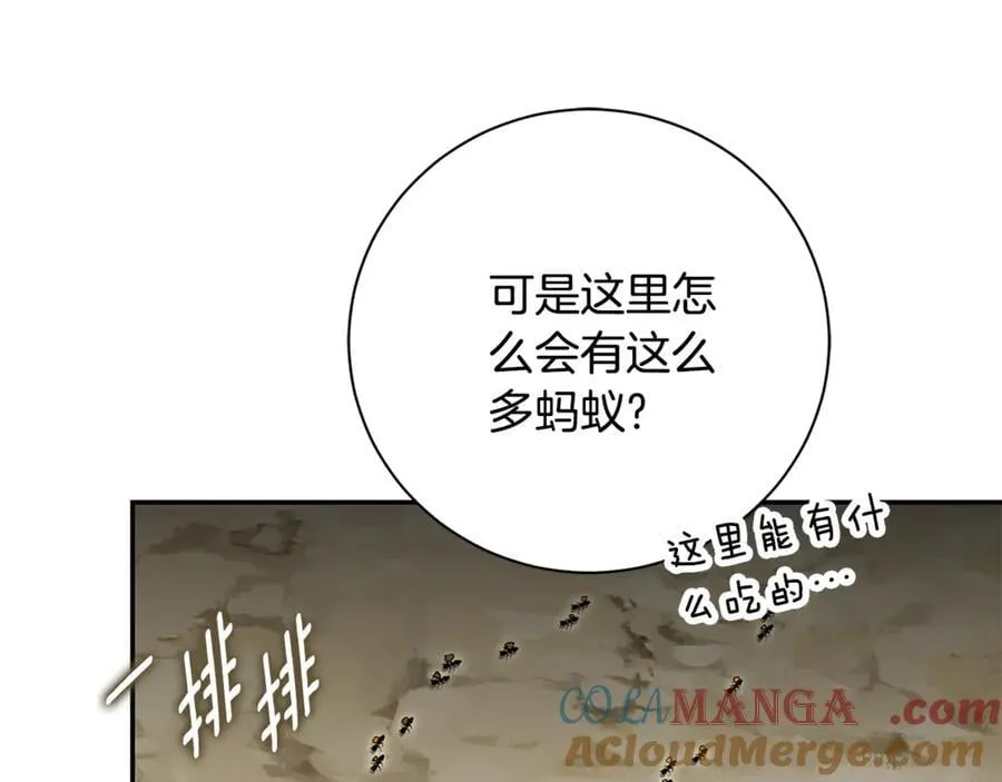 第73话 掉落山崖 第185页