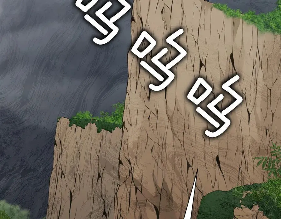 第100话 尘埃落定 第3页