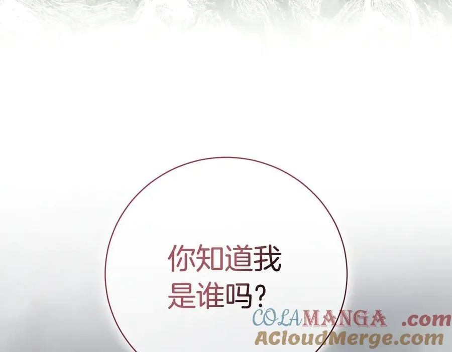 第100话 尘埃落定 第5页