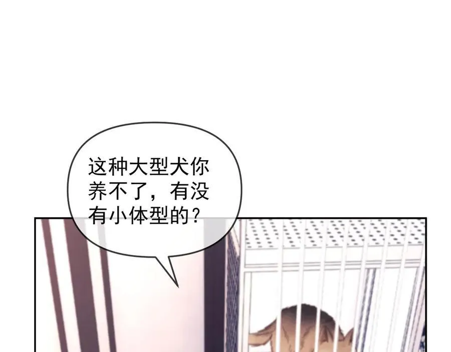 第50话 不是夫妻但胜似夫妻 第15页