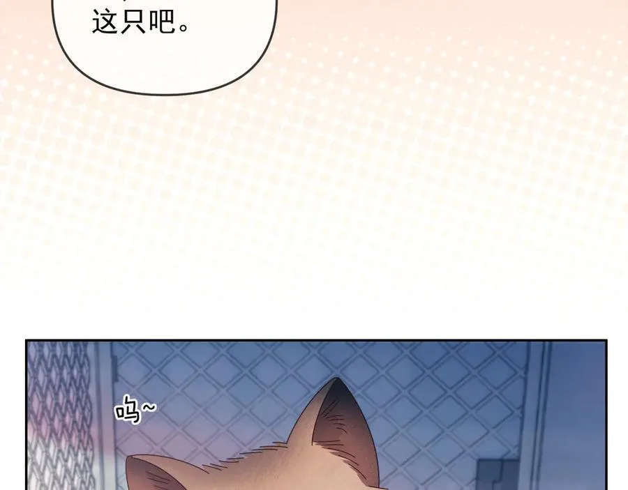第50话 不是夫妻但胜似夫妻 第22页