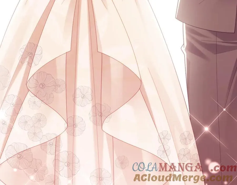 完结篇 婚礼 第29页