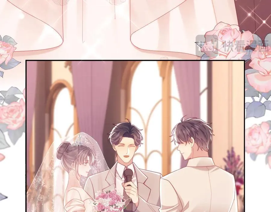 完结篇 婚礼 第30页