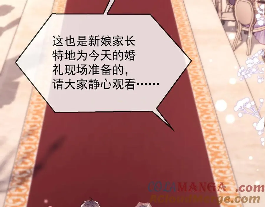 完结篇 婚礼 第37页