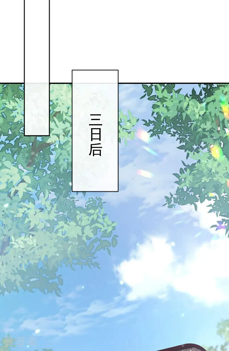 第67话 你就自求多福吧 第12页