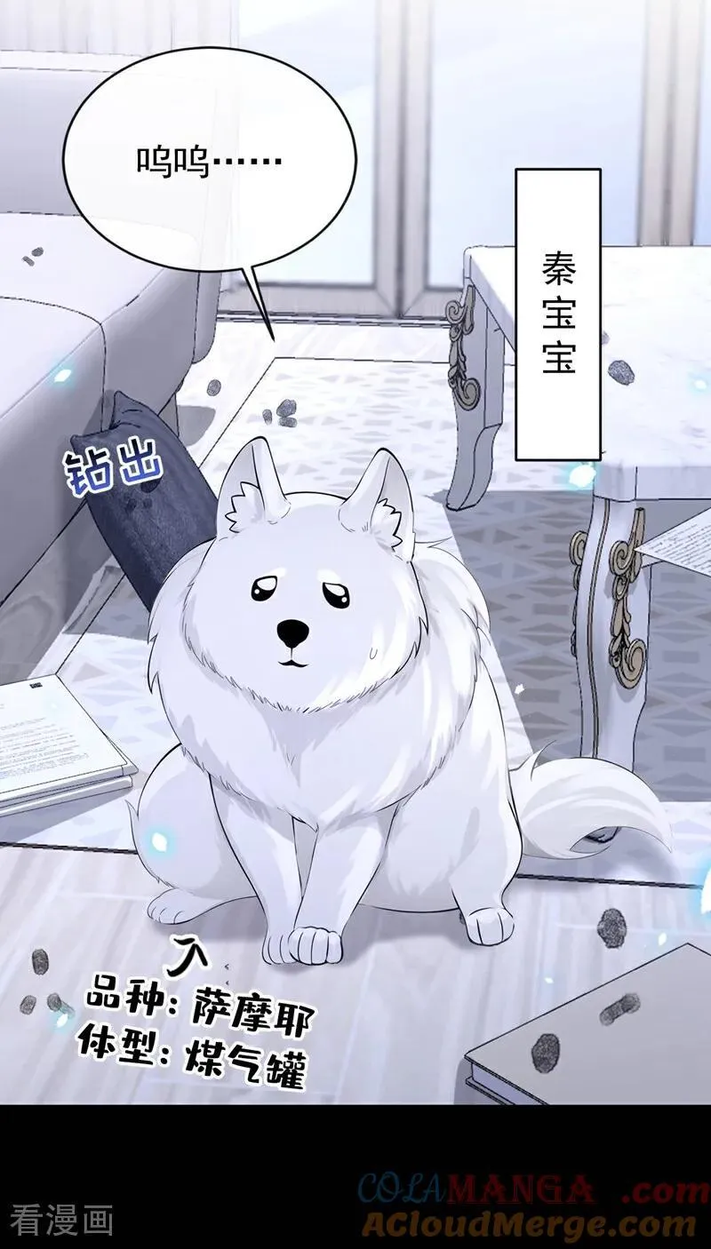 第104话 把你的狗接走！ 第17页