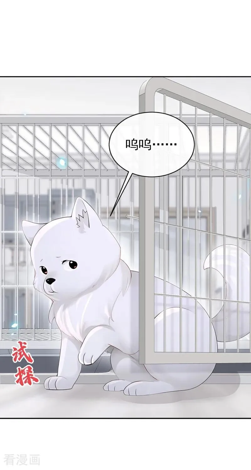 第115话 叫我宝宝 第2页